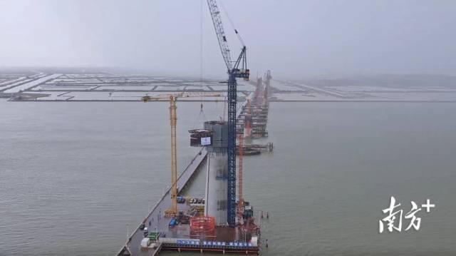 節段鋼筋整體吊裝現場。