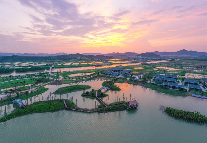 高水平的城市規劃建設水平。對標最高最優最好城市規劃，推進城市綜合管廊、道路橋梁等基礎設施建設，城市功能不斷完善，城市景觀不斷美化，促進城市集約高效和轉型發展，打造經濟發展新動力。圖為翠亨國家濕地公園。
