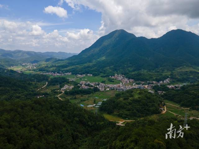 羅定市龍灣鎮萬畝南藥種植示范基地。  