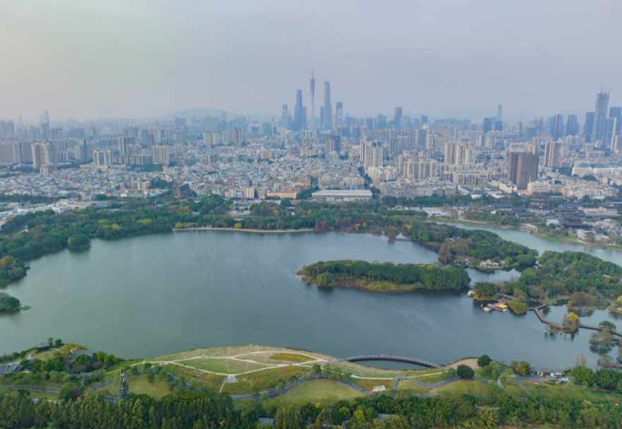 5月22日是國(guó)際生物多樣性日。濕地具有涵養(yǎng)水源、調(diào)節(jié)氣候、維持碳循環(huán)等極為重要的生態(tài)功能，是生物多樣性的重要發(fā)源地之一?；浉郯拇鬄硡^(qū)擁有多個(gè)濕地公園，優(yōu)質(zhì)的生態(tài)環(huán)境為各種生物提供了生存繁衍空間，對(duì)維護(hù)生物多樣性起到積極意義。廣州海珠國(guó)家濕地公園是全國(guó)特大城市中心區(qū)域面積最大的濕地公園，目前濕地率達(dá)79.4%，鳥(niǎo)類(lèi)種類(lèi)從72種增加到187種，昆蟲(chóng)種類(lèi)從66種增加值738種，魚(yú)類(lèi)從36種增加到64種。圖為廣州海珠濕地公園。