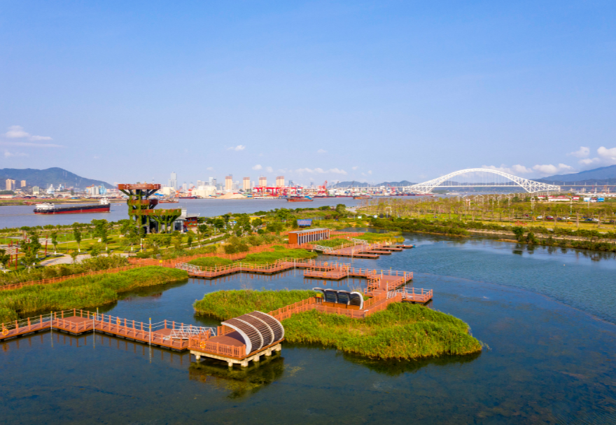 遠(yuǎn)眺芒洲濕地公園，滿眼翠綠，公園四周環(huán)繞一圈花草樹(shù)木，中間是水塘和綠洲，一些綠洲之間連接著紅色的棧道和浮橋，不遠(yuǎn)處的洪鶴大橋橫空而過(guò)。水塘邊生長(zhǎng)著眾多紅樹(shù)林植物和大片的蘆葦，許多鳥(niǎo)類(lèi)在此棲息、繁衍，這是橫琴鳥(niǎo)類(lèi)的“天堂。圖為珠海橫琴芒洲濕地公園。