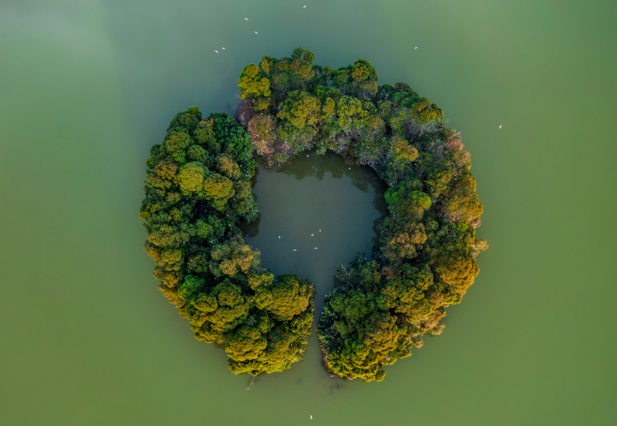佛山三水云東海國(guó)家濕地公園坐落于珠三角腹地，總面積超過(guò)400公頃，是佛山市國(guó)家森林城市建設(shè)的重點(diǎn)工程，也是佛山市濕地體系中“三江匯流”保育區(qū)的濕地生態(tài)景觀核心和珠三角地區(qū)鳥(niǎo)類(lèi)遷徙的重要節(jié)點(diǎn)。湖水瀲滟、植被茂盛，月亮湖湖心環(huán)形小島吸引了上千只鷺鳥(niǎo)在此集聚棲息。圖為佛山三水云東海國(guó)家濕地公園。