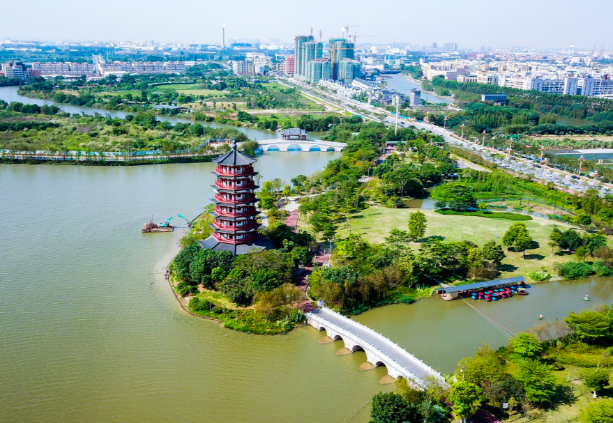 在東莞，華陽(yáng)湖經(jīng)過(guò)數(shù)年整治，完成了從“污染重災(zāi)區(qū)”到“濕地公園”的美麗蛻變，東莞麻涌華陽(yáng)湖國(guó)家濕地公園更是以優(yōu)美的風(fēng)光和環(huán)境成為了東莞旅游的一張亮麗名片，吸引了白鷺、夜游鶴、野鴨等一大批水鳥(niǎo)重歸這片棲息地。圖為東莞麻涌華陽(yáng)湖國(guó)家濕地公園。