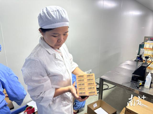 在廣東恒健制藥有限公司生產車間內，“位元堂”的麝香活絡油已完成灌裝與包裝，賦上藥品溯源碼后，正式下生產線。