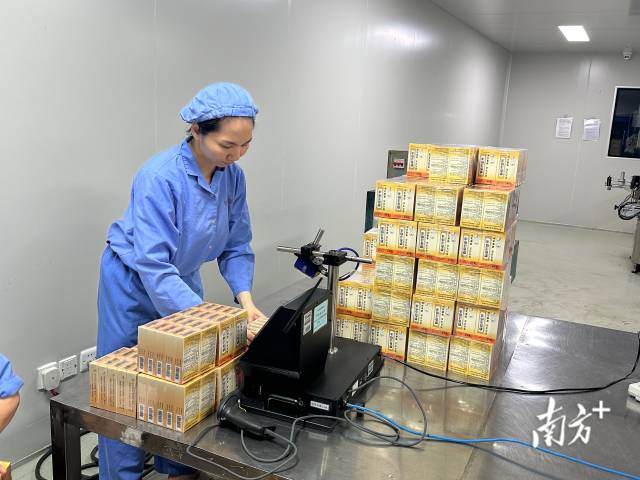 在廣東恒健制藥有限公司生產車間內，“位元堂”的麝香活絡油已完成灌裝與包裝，賦上藥品溯源碼后，正式下生產線。