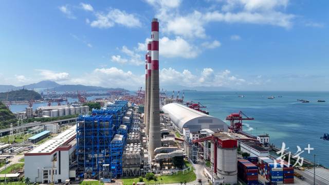 深圳前海保稅港區。魯力 攝