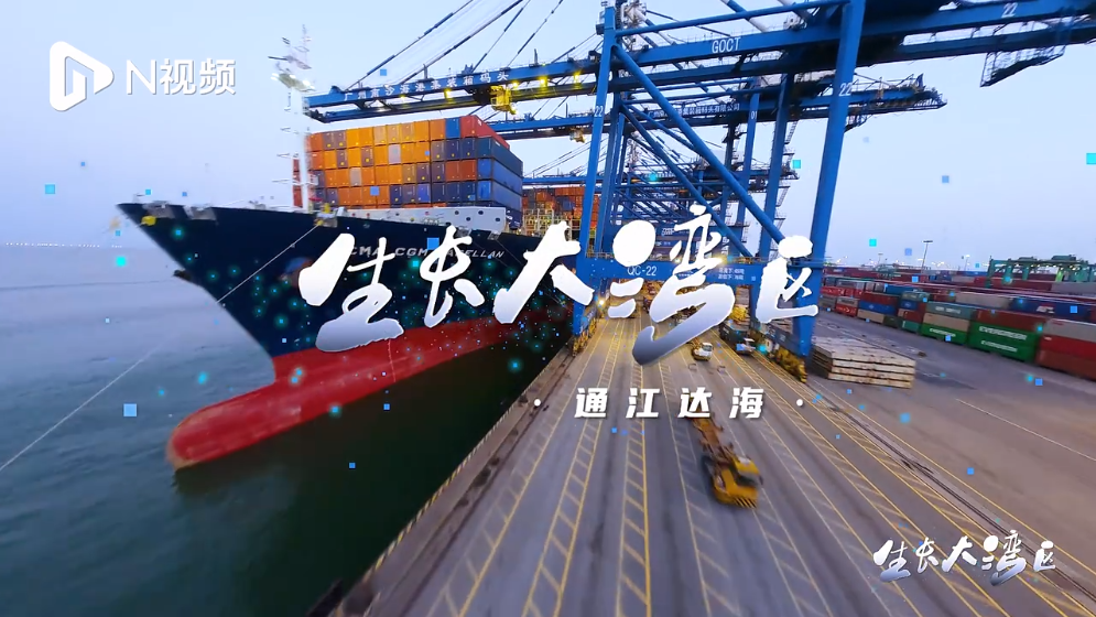 通江達海！在智慧碼頭南沙港看中國汽車外貿如何“生長”