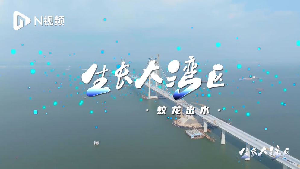 海上蛟龍，蓄勢待發！看深中通道如何打通“灣區主動脈”