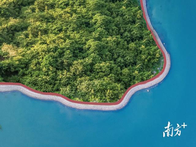 小桂綠道。大亞灣開發區供圖