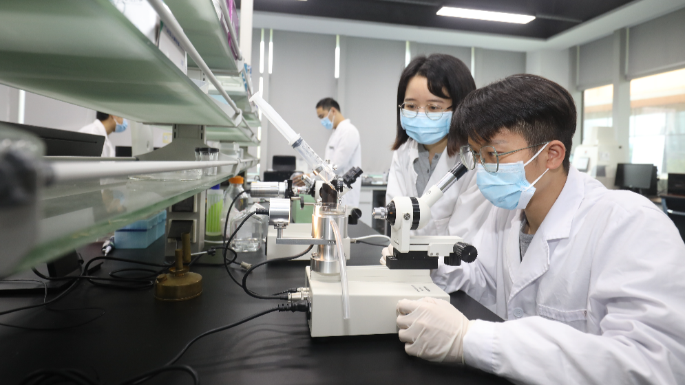 最高1億元項目資助、保障子女教育！橫琴出臺人才新政