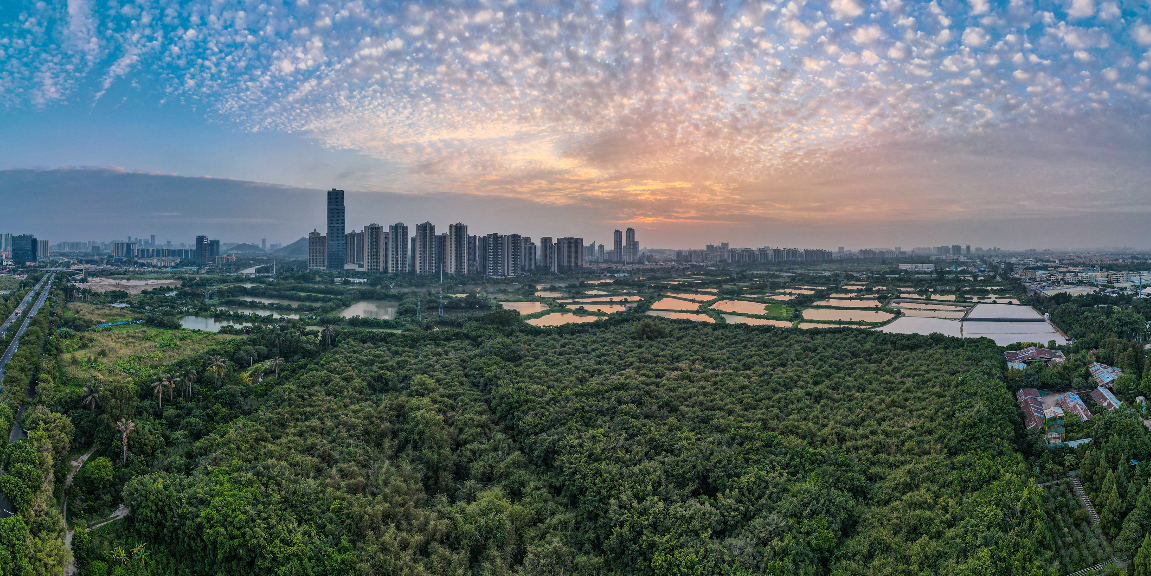 粵港澳大灣區門戶網