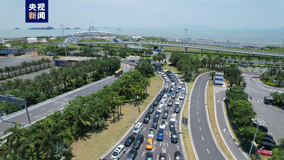創歷史最快紀錄！港珠澳大橋今年出入境旅客超1000萬人次