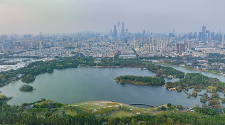 不可缺“濕”的生態(tài)之美！一起暢游大灣區(qū)濕地公園