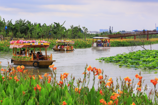 廣東華陽湖國家濕地公園馬滘河花海漂游