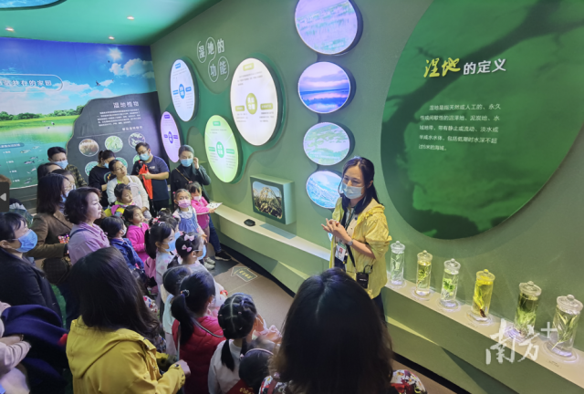 學生走進廣東星湖國家濕地公園，了解濕地知識。