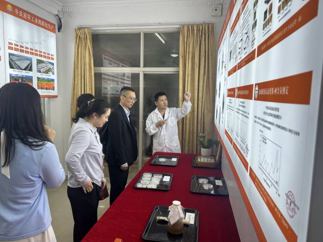 向16家知名企業推廣琴澳營商優勢，促進區域產業協作發展。