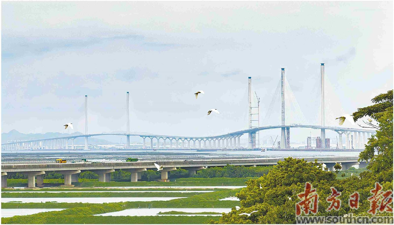 黃茅海跨海通道預計11月底驗收.png