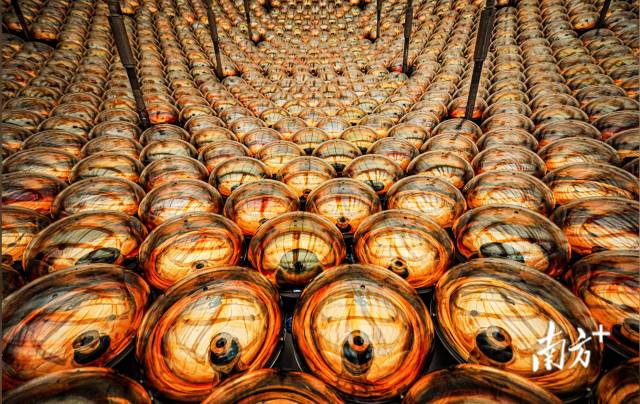 20寸的光電倍增管。劉悅湘 攝 20寸的光電倍增管。劉悅湘 攝