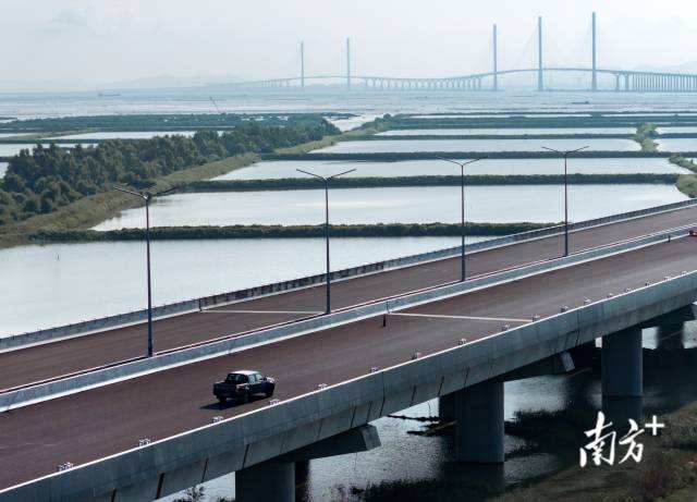 9月27日，黃茅海跨海通道上，馬倩倩正在開車前往施工地點。