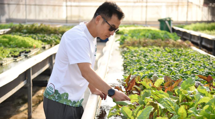 澳門青年孫振鴻：在大灣區“種”出“好機會”