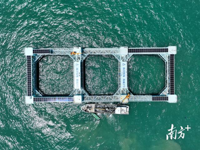 廣東出臺全國首個海洋漁業全產業發展規劃 廣東出臺全國首個海洋漁業全產業發展規劃