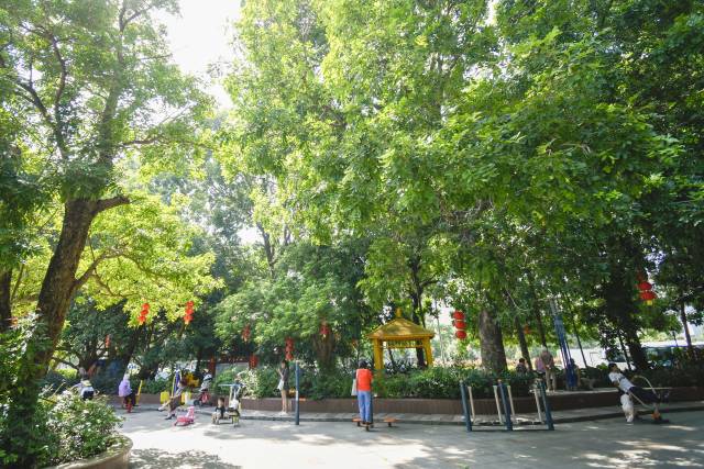 肇慶端州區人均公園面積位居全省前列。黃詠欣 攝 肇慶端州區人均公園面積位居全省前列。黃詠欣 攝