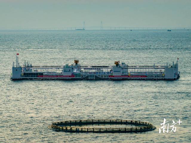 “格盛1號”智慧型桁架式深遠(yuǎn)海養(yǎng)殖平臺 “格盛1號”智慧型桁架式深遠(yuǎn)海養(yǎng)殖平臺