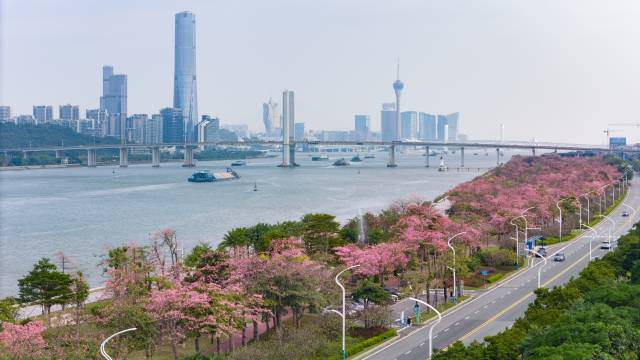 橫琴粵澳深度合作區(qū)執(zhí)委會副主任蘇崑：當(dāng)合作區(qū)的“全球推薦官”