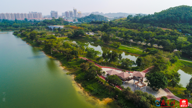 廣東珠海水松林省重要濕地(通訊員供圖) 廣東珠海水松林省重要濕地(通訊員供圖)