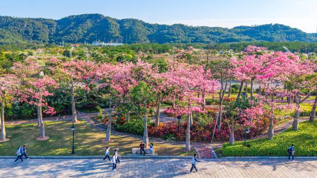 張國基：規(guī)劃新增4條聯(lián)澳通道，推出琴澳交通“一卡通”
