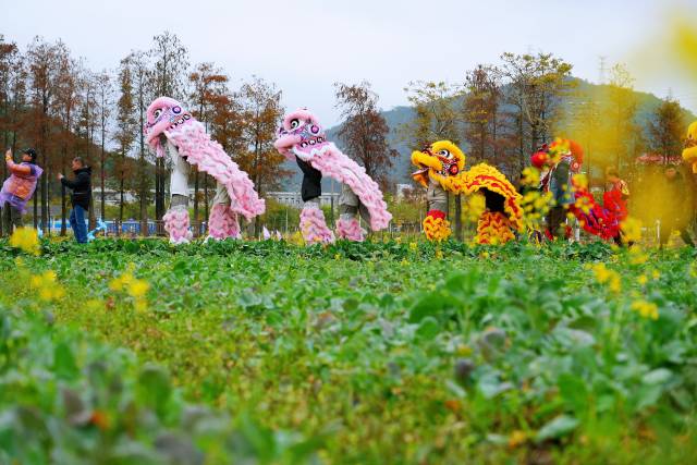珠中江三市首次聯合打造珠西都市圈城鄉統籌高質量發展先行區鄉村旅游風情帶