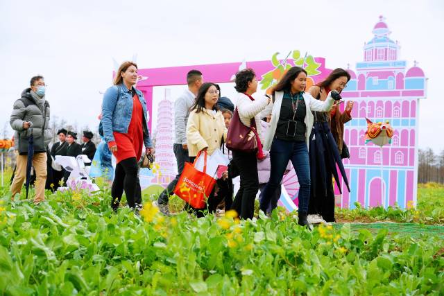 珠中江三市首次聯合打造珠西都市圈城鄉統籌高質量發展先行區鄉村旅游風情帶