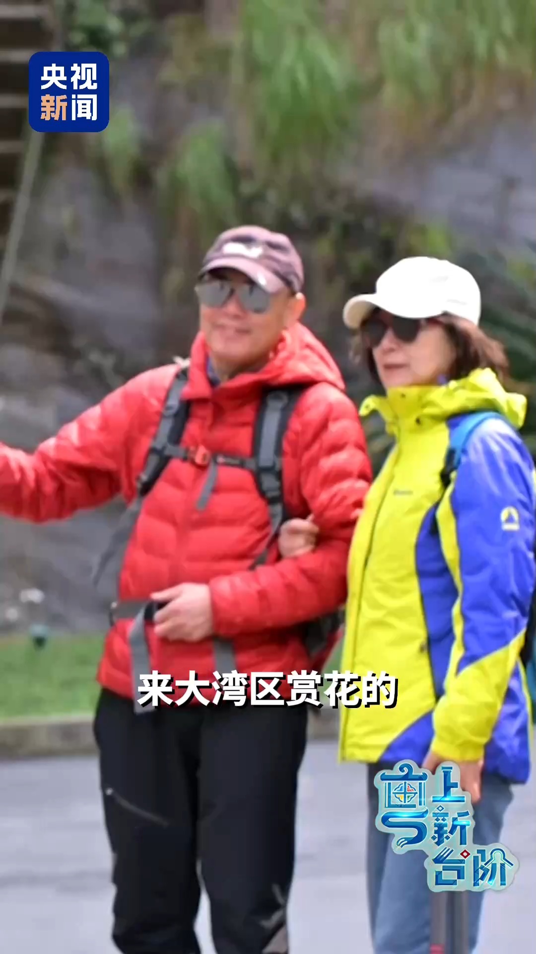 一趟由北向南開行的列車同時“驚動”了京津冀和粵港澳大灣區兩大經濟圈。