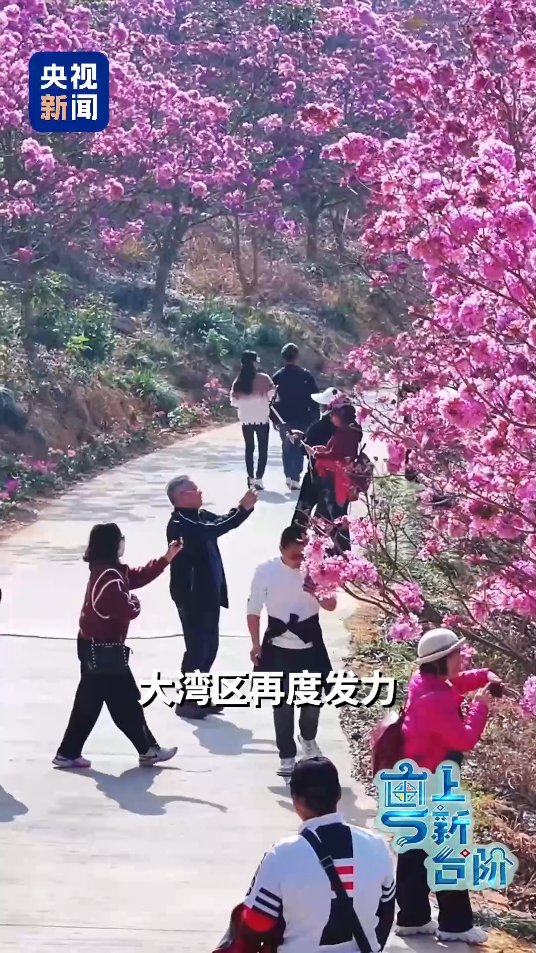 一趟由北向南開行的列車同時“驚動”了京津冀和粵港澳大灣區兩大經濟圈。