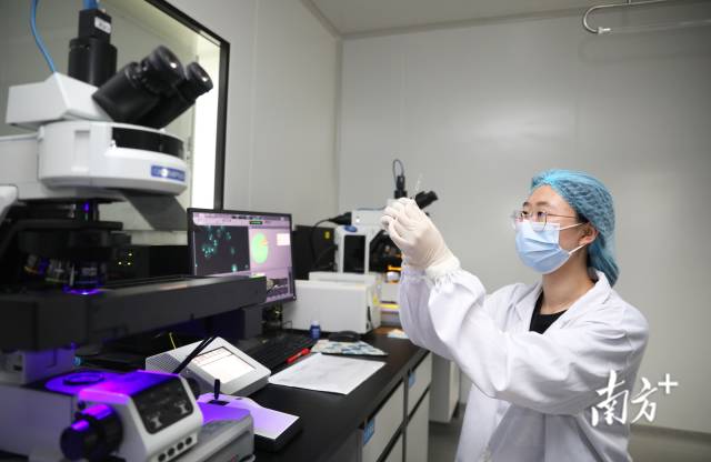 橫琴粵澳深度合作區一企業實驗室。關銘榮 攝