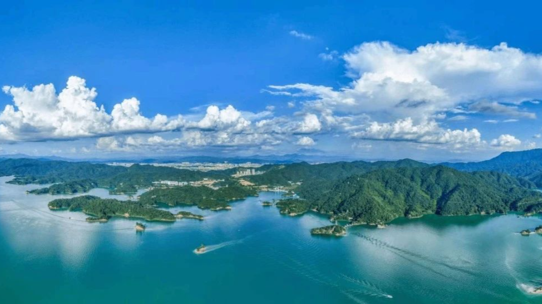 廣東建立營商環境對口幫扶機制  打造區域均衡一體化發展的營商環境——廣東省優化營商環境典型案例（十三）