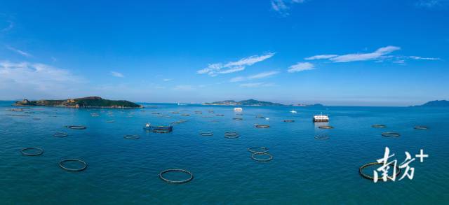 萬山群島海洋牧場。