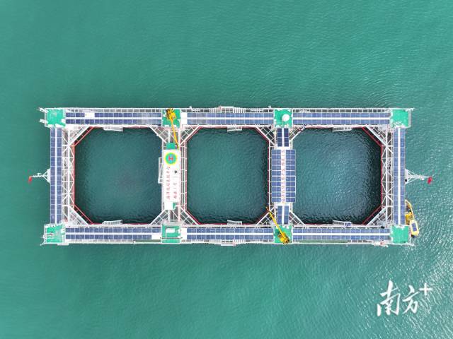 空中俯瞰“格盛一號”海洋牧場。