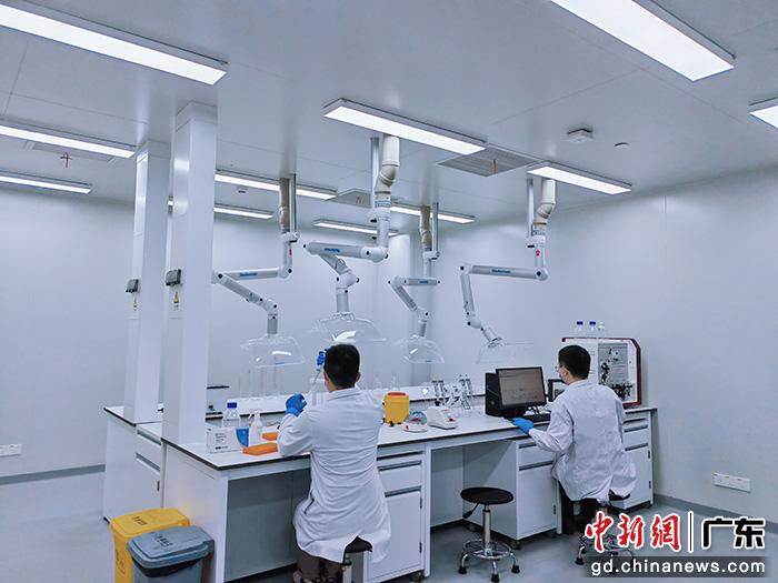  在“灣有引力”實驗室工作中的科研團隊。受訪者供圖