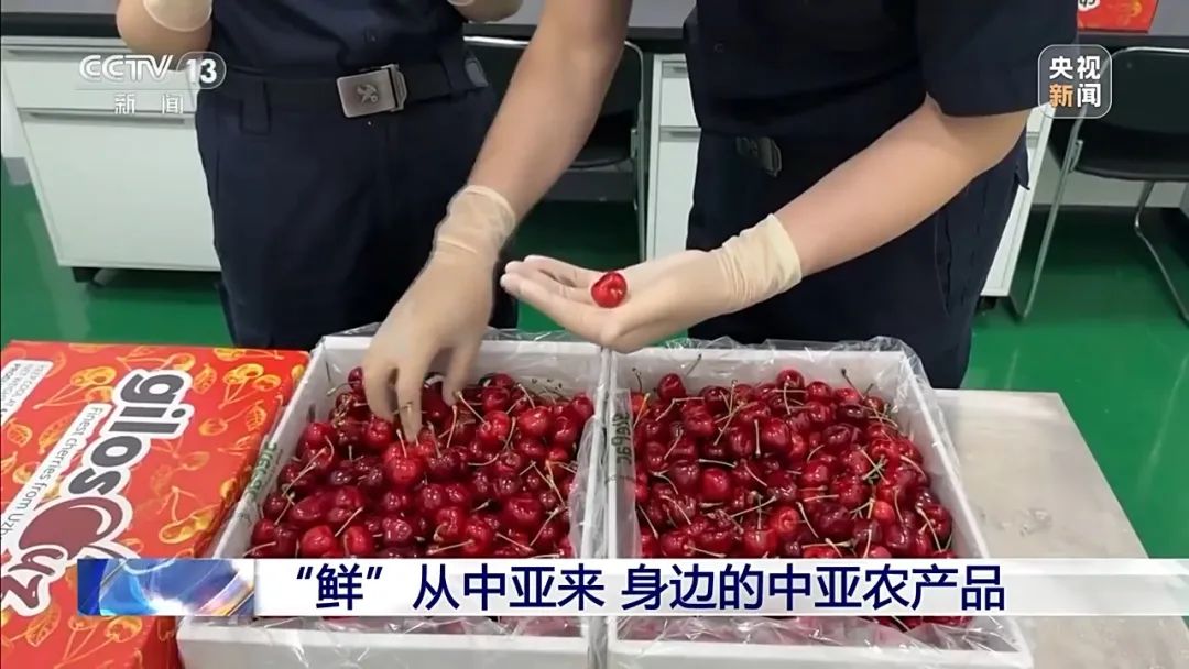 “鮮”從中亞來 身邊的中亞農產品