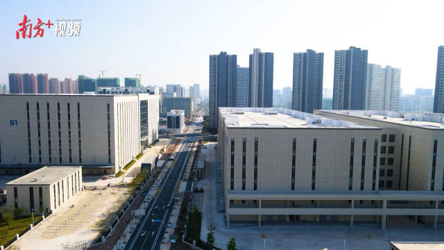 產業集群
