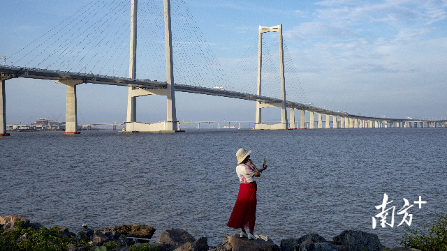 深中通道與到此“打卡”的市民 深中通道與到此“打卡”的市民