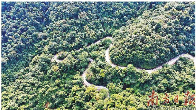九曲十八彎的最美旅游公路南昆山路段。受訪單位供圖