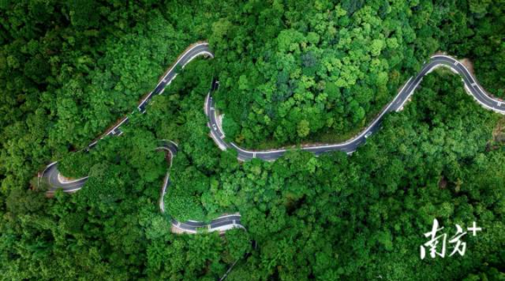 環(huán)南昆山—羅浮山引領(lǐng)區(qū)218公里最美旅游公路。