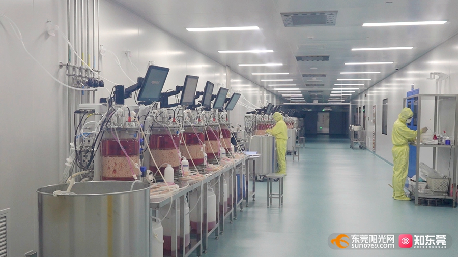 松山湖生物醫藥產業基地
