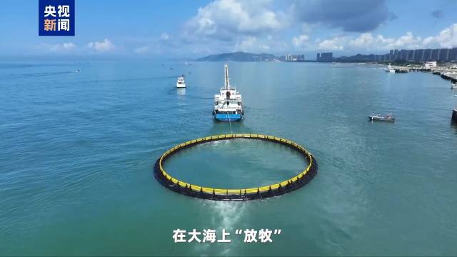 廣東海洋經濟
