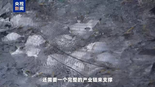 深海養魚