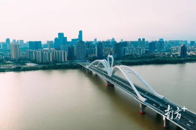 惠州鵝城大橋。 惠州鵝城大橋。