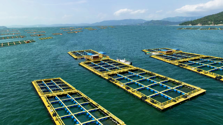 海洋牧場 海洋牧場