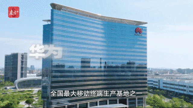 “創新全運會”鳴哨,11城接力新質火炬 “創新全運會”鳴哨,11城接力新質火炬